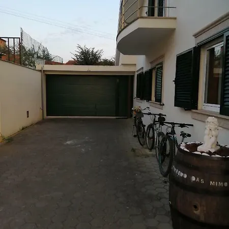Terreno Das Mimosas Aveiro Extérieur photo