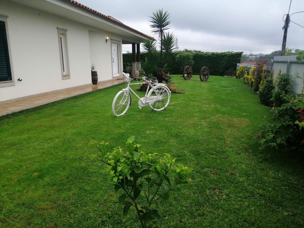 Homestay Terreno Mimosas
