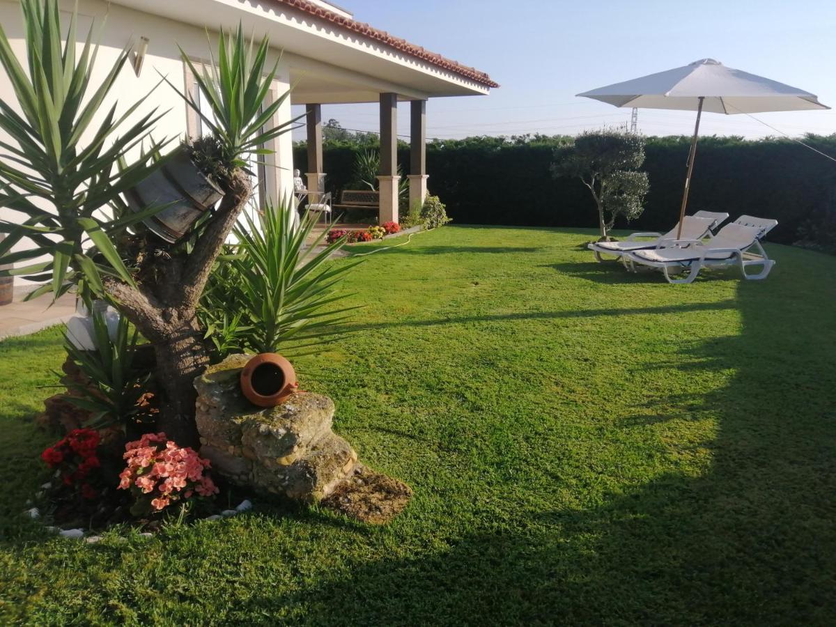 Terreno Mimosas Aveiro