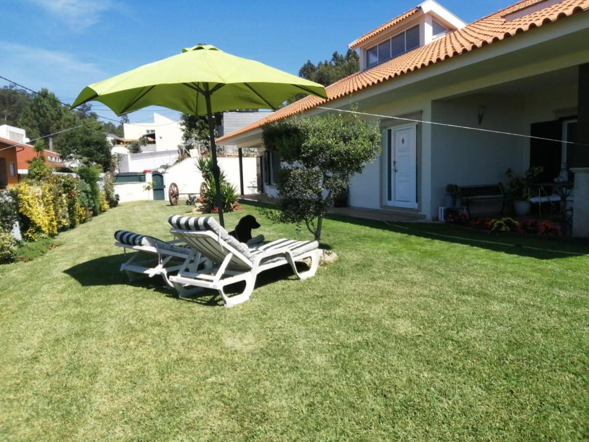 Terreno Mimosas Homestay Aveiro