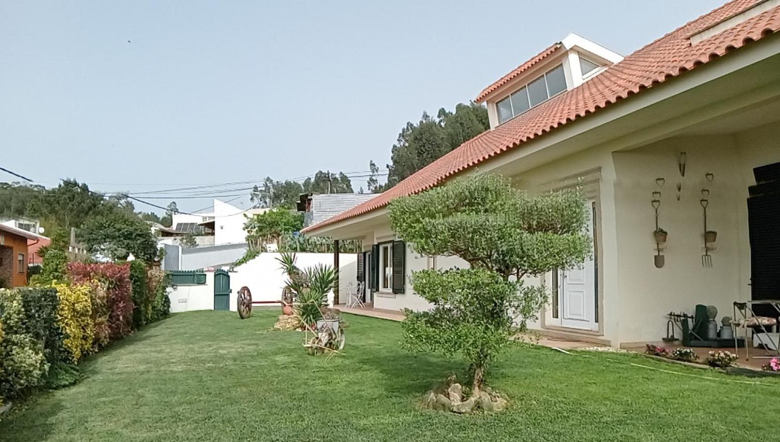 Terreno Mimosas Homestay