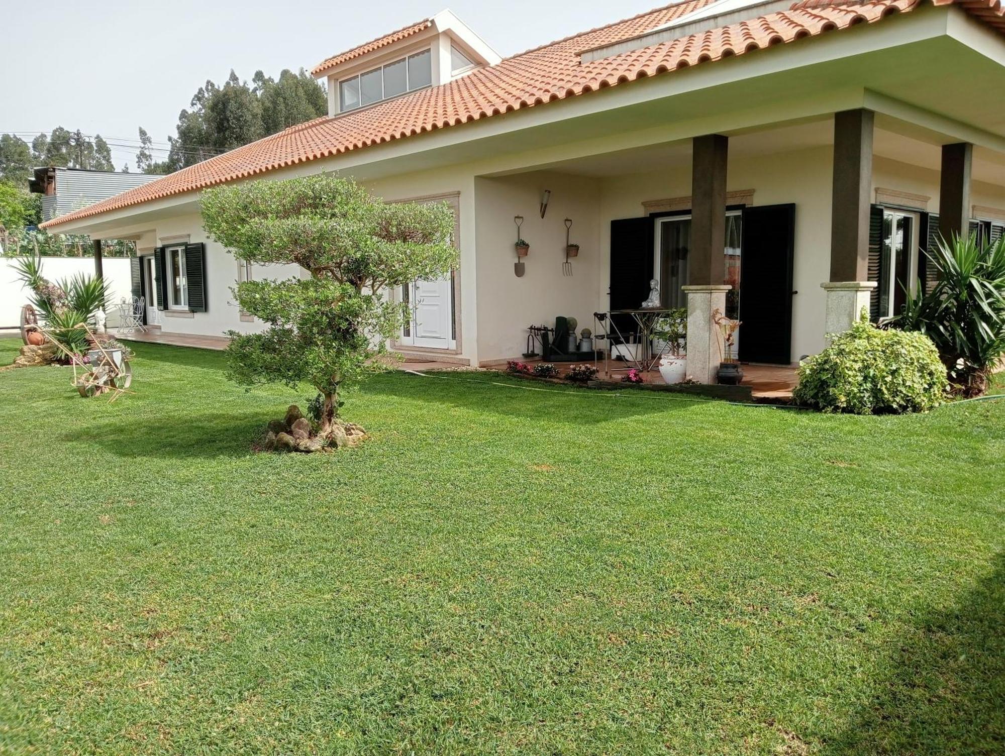 Terreno Mimosas Aveiro