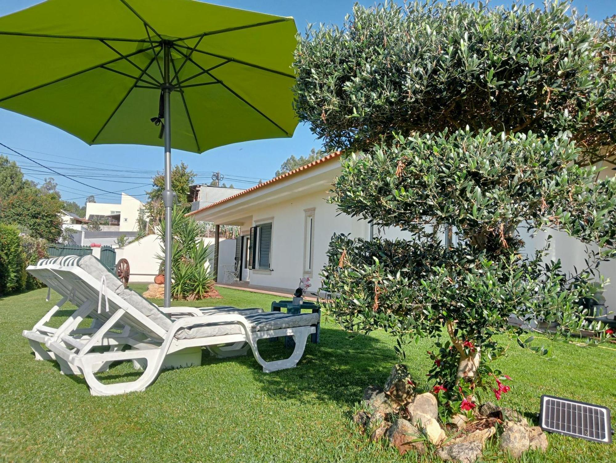 Séjour chez l'habitant Terreno Mimosas Aveiro