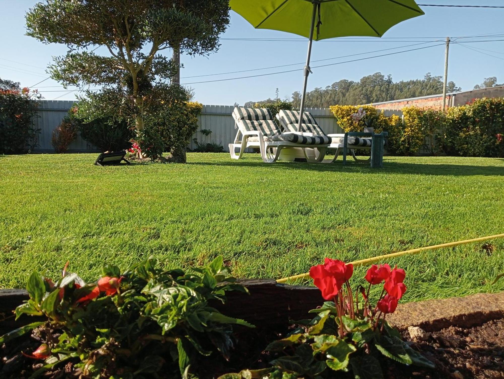 Terreno Mimosas *