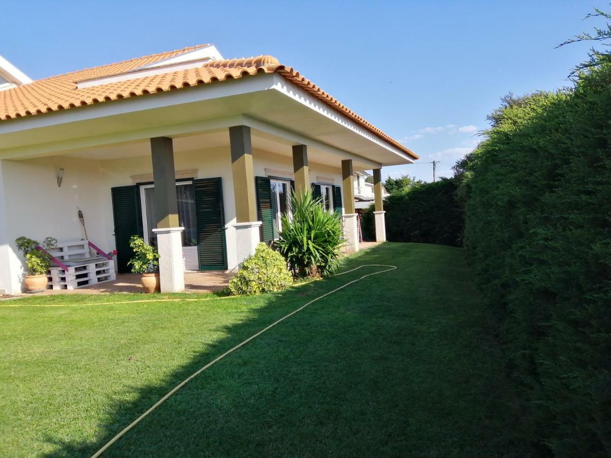 Terreno Mimosas Homestay