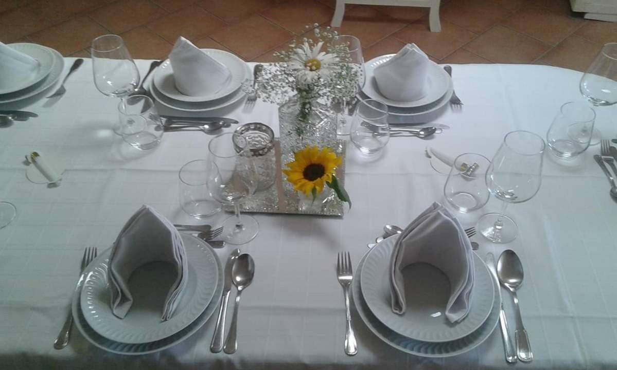 Séjour chez l'habitant Terreno Mimosas Aveiro