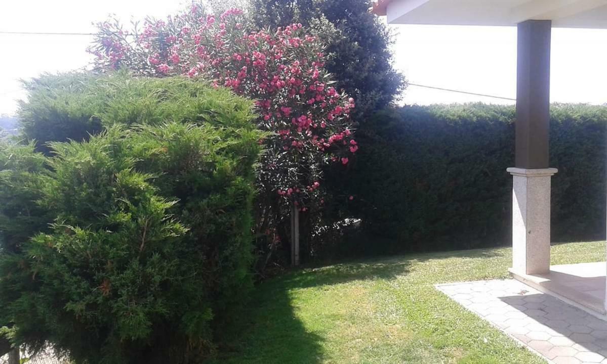 Terreno Mimosas