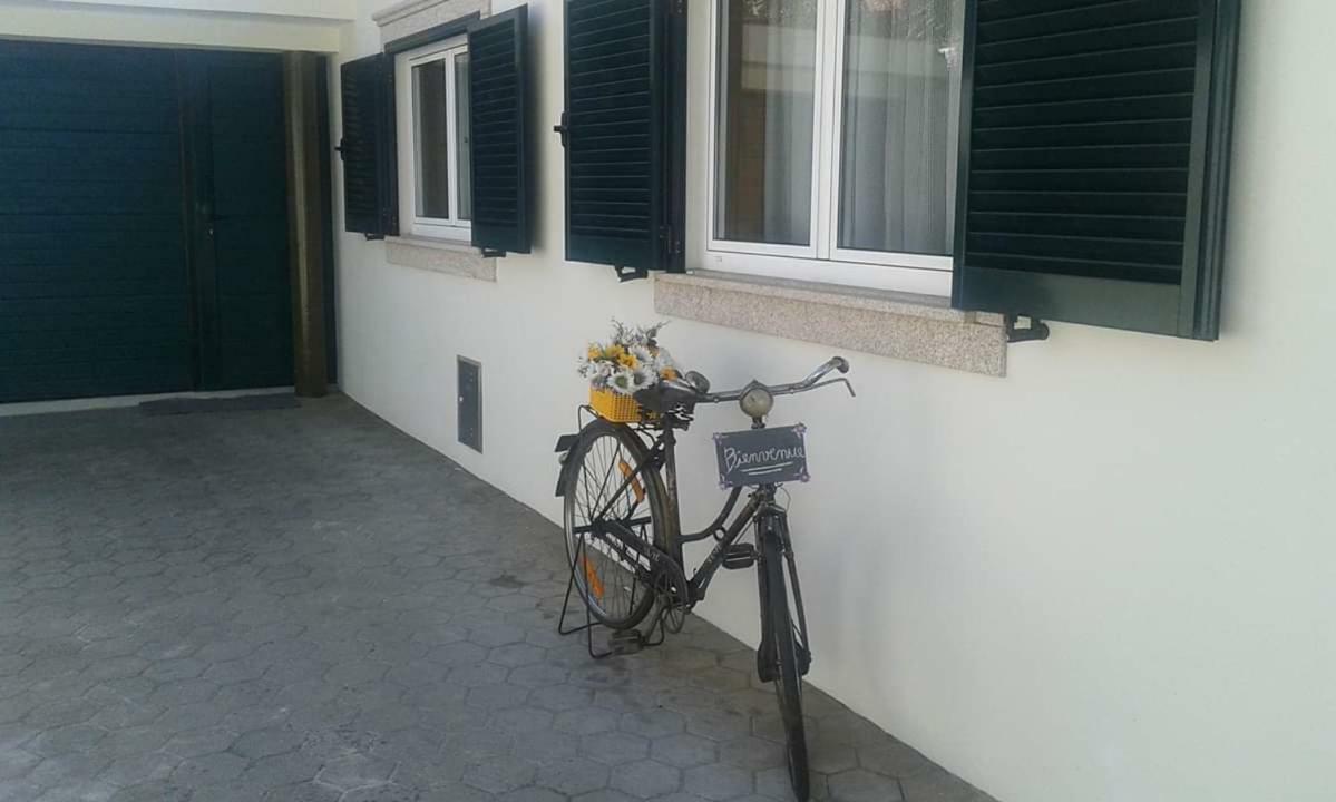 Terreno Mimosas Homestay Aveiro